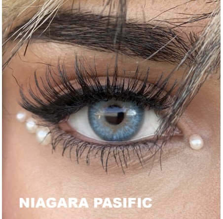Fx Eyes Niagara Pasific (3 Aylık)