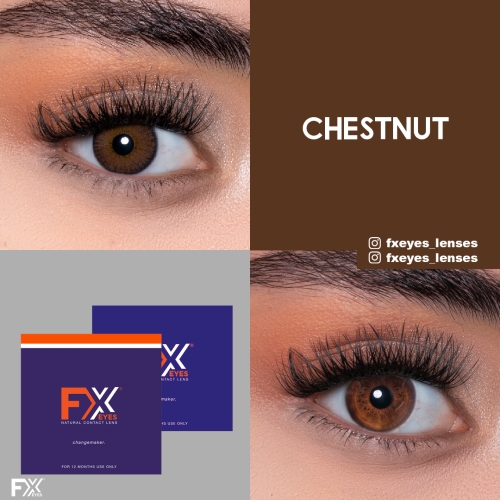 Fx Eyes Ela Renk Chestnut (1 Yıllık)