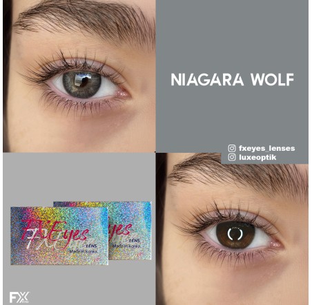 Fx Eyes Gri Renk Niagara Wolf  (3 Aylık)