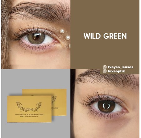 Hypnose Yeşil Renk Wild Green (1 Yıllık)