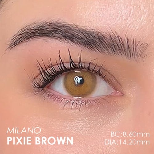 Labella Ela Renk Pixie Brown (1 Yıllık)