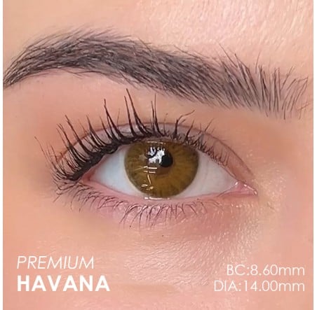 Labella Ela Renk Premium Havana (3 Aylık)