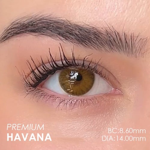 Labella Ela Renk Premium Havana (3 Aylık)