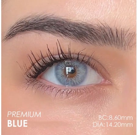 Labella Mavi Renk Premium Blue (1 Yıllık)