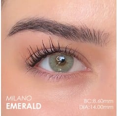 Labella Yeşil Renk Emerald (1 Yıllık)