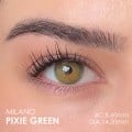 Labella Yeşil Renk Pixie Green (3 Aylık)