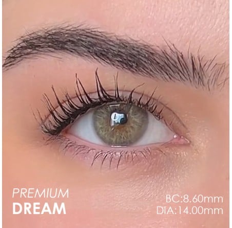 Labella Yeşil Renk Premium Dream (Yıllık)