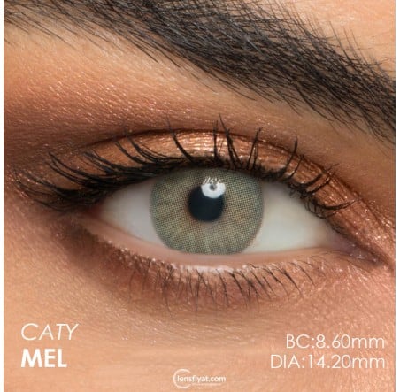 Armeda Renkli Lens (6 Aylık) · 6