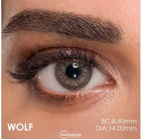 Claro Gri Renk Akik Wolf (1 Yıllık)