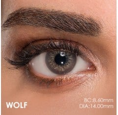 Claro Gri Renk Akik Wolf (1 Yıllık)