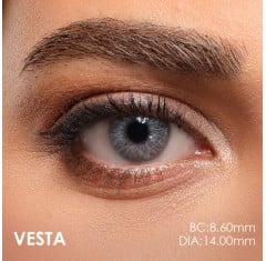 Claro Gri Renk Vesta (1 Yıllık)