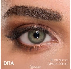 Claro Yeşil Renk Dita (1 Yıllık)