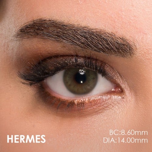 Claro Yeşil Renk Hermes (1 Yıllık)