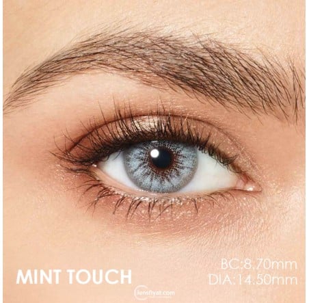 Desio Sensual Beauty Gri Renk Mint Touch (3 Aylık)