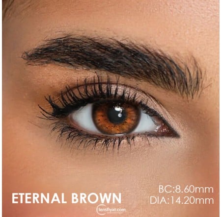 Desio Timeless 3 Tone Ela Renk Eternal Brown (3 Aylık)