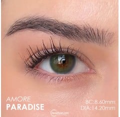 El Amore Mavi Renk Paradise (1 Yıllık)