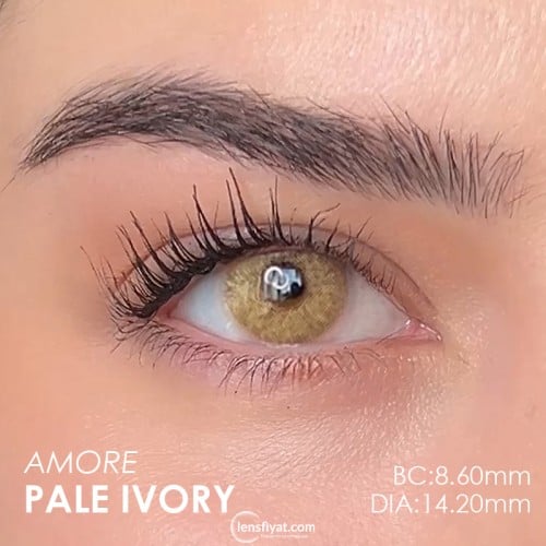 Elamore Ela Renk Pale Ivory (1 Yıllık)