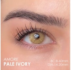 Elamore Ela Renk Pale Ivory (1 Yıllık)