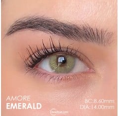 Elamore Yeşil Renk Amore Emerald (1 Yıllık)
