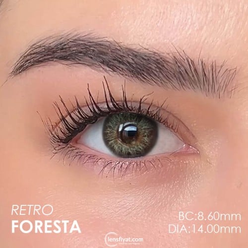 Elamore Yeşil Renk Foresta (1 Yıllık)