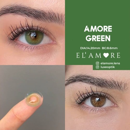 Elamore Yeşil Renk Amore Green (1 Yıllık)