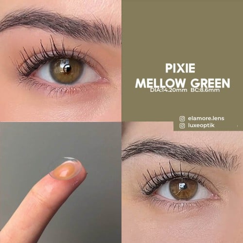 Elamore Yeşil Renk Pixie Mellow Green (1 Yıllık)