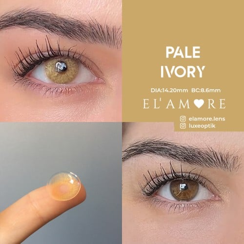 Elamore Ela Renk Pale Ivory (1 Yıllık)