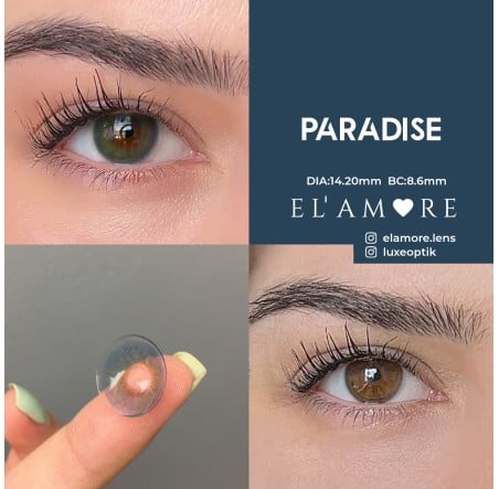 El Amore Mavi Renk Paradise (6 Aylık)