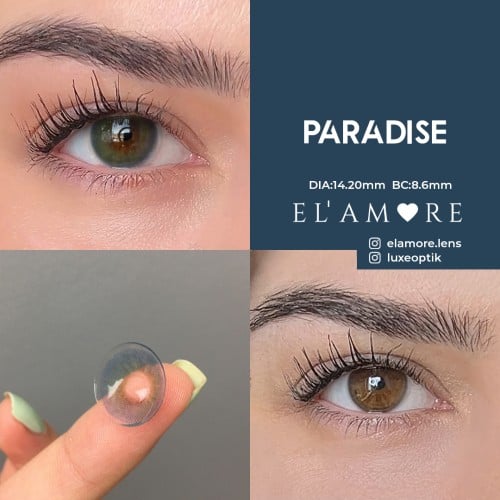 El Amore Mavi Renk Paradise (1 Yıllık)