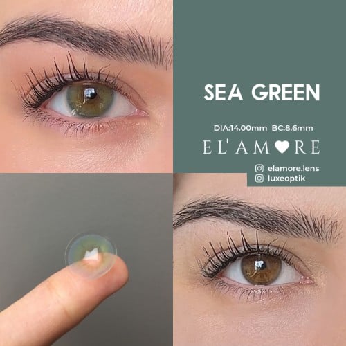 Elamore Yeşil Renk Sea Green (1 Yıllık)