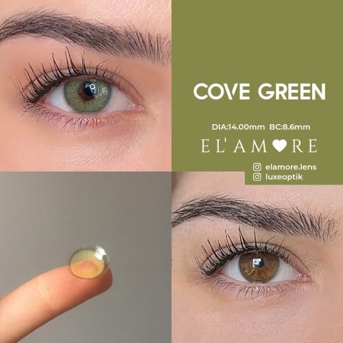 Elamore Yeşil Renk Cove Green (1 Yıllık)