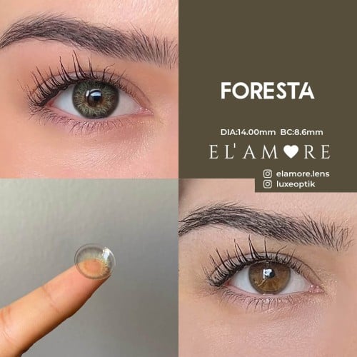 Elamore Yeşil Renk Foresta (1 Yıllık)