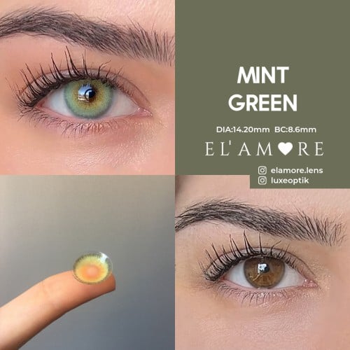 Elamore Yeşil Renk Mint Green (1 Yıllık)