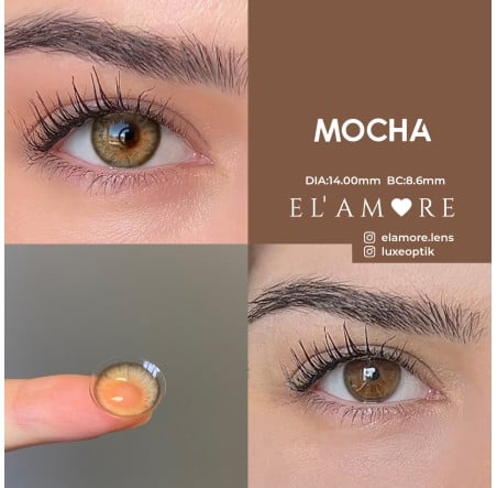 Elamore Ela Renk Mocha (6 Aylık)