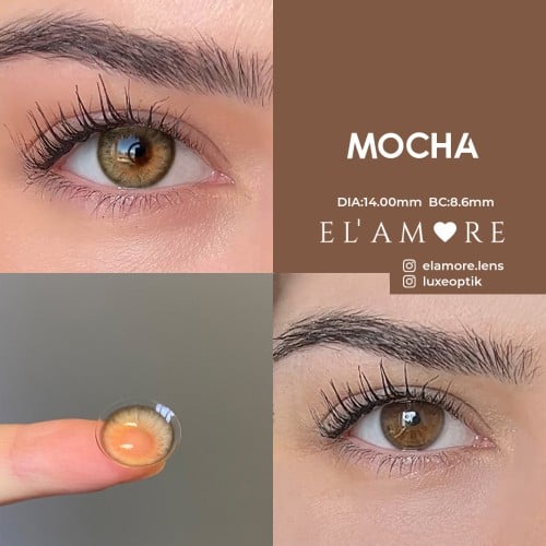 Elamore Ela Renk Mocha (1 Yıllık)