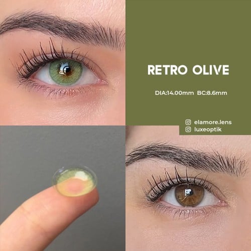 Elamore Yeşil Renk Olive (1 Yıllık)