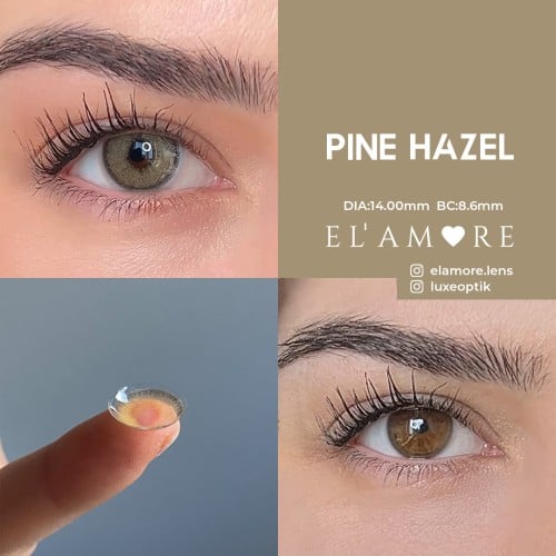 Elamore Ela Renk Pine Hazel (1 Yıllık)