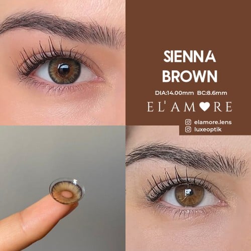 Elamore Ela Renk Sienna Brown (1 Yıllık)
