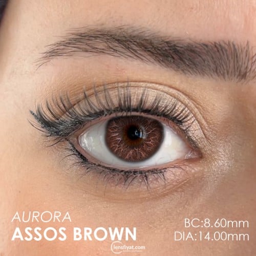 Fx Eyes Ela Renk Aurora Asos Brown (1 Yıllık)