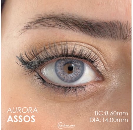 Fx Eyes Gri Renk Aurora Asos  (1 Yıllık)