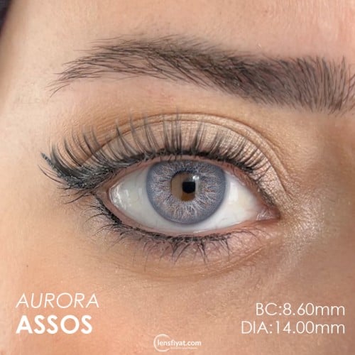 Fx Eyes Gri Renk Aurora Asos  (1 Yıllık)