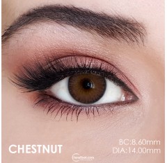 Fx Eyes Ela Renk Chestnut (1 Yıllık)