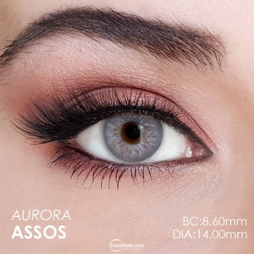 Fx Eyes Gri Renk Aurora Asos  (1 Yıllık)