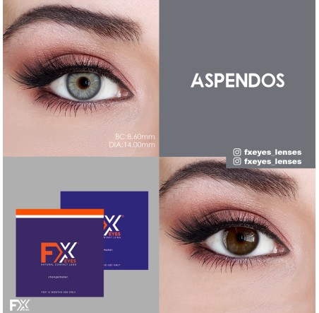 Fx Eyes Gri Renk Aspendos (1 Yıllık)