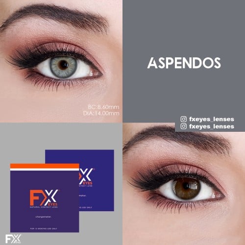 Fx Eyes Gri Renk Aspendos (1 Yıllık)