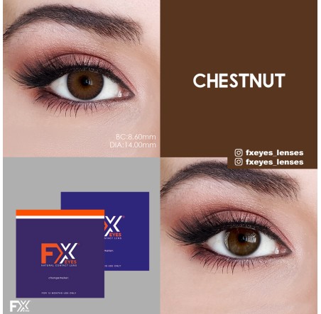 Fx Eyes Ela Renk Chestnut (1 Yıllık)