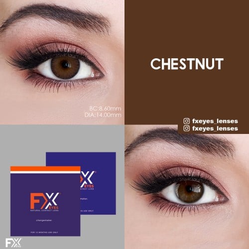 Fx Eyes Ela Renk Chestnut (1 Yıllık)