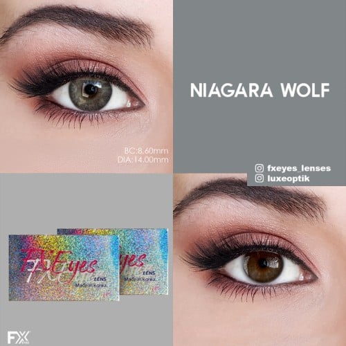 Fx Eyes Gri Renk Niagara Wolf  (3 Aylık)