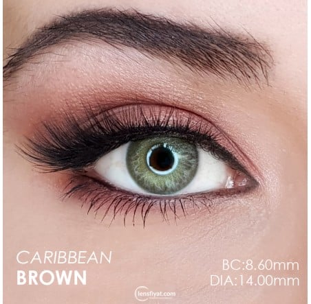 Hypnose Caribbean Brown (Kahverengi)  (1 Yıllık)