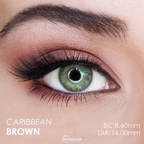 Hypnose Caribbean Brown (Kahverengi)  (1 Yıllık)